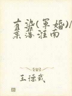 有染(军婚)/叶落淮南