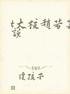 t大校赵若芸小说封面
