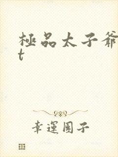 极品太子爷txt封面