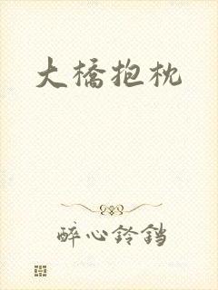 大桥抱枕