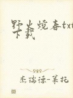 野火烧春txt下载
