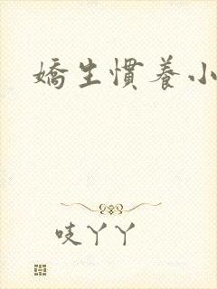 娇生惯养小说