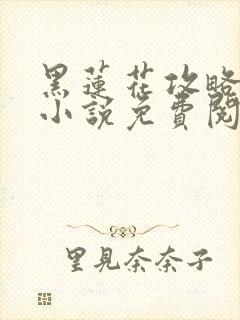 黑莲花攻略手册小说免费阅读全文封面