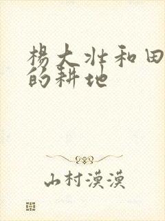 杨大壮和田桂花的耕地