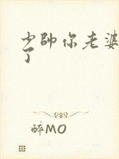 少帅你老婆又跑了