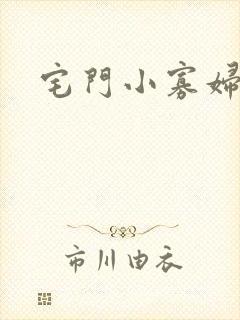 宅门小寡妇