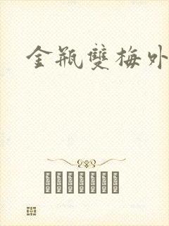 金瓶双梅外传
