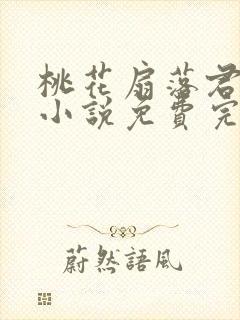桃花扇落君不还小说免费完整版封面