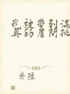 我被带到满是玩具的房间挑调游戏
