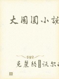 大团圆小说