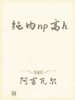 纯肉np高h