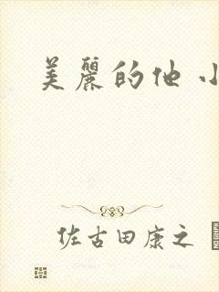 美丽的他 小说