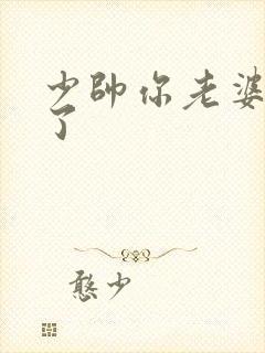 少帅你老婆又跑了