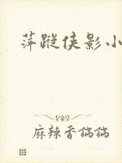 萍踪侠影小说