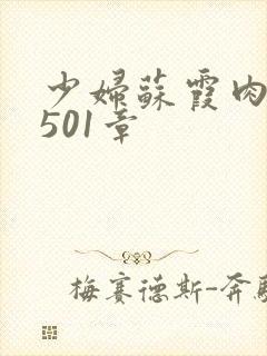 少妇苏霞肉欲第501章