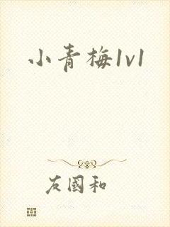 小青梅1v1