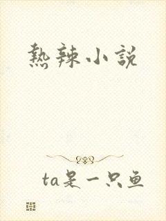 热辣小说