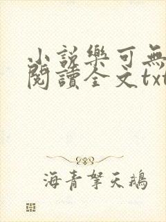 小说乐可无弹窗阅读全文txt金银花