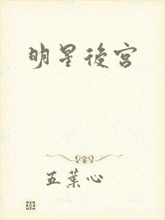 明星后宫封面
