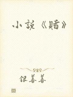 小说《赌》