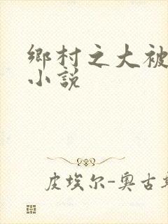 乡村之大被同眠小说