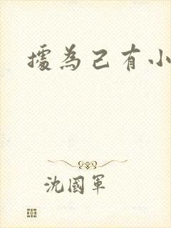 据为己有小说