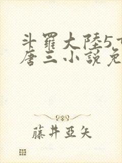 斗罗大陆5重生唐三小说免费阅读封面