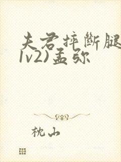 夫君摔断腿后(1v2)孟弥