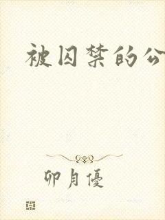 被囚禁的公主