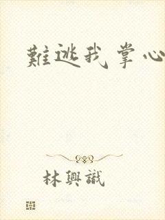 难逃我掌心封面