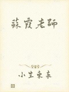 苏霞老师