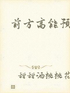 前方高能预警