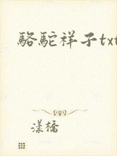 骆驼祥子txt封面