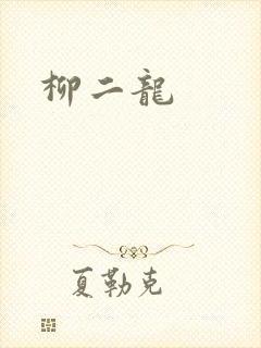 柳二龙