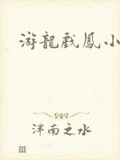 游龙戏凤小说