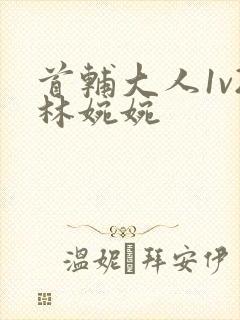 首辅大人1v2林婉婉封面