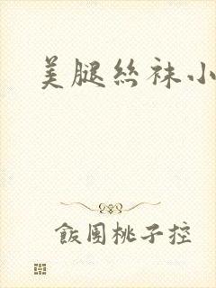 美腿丝袜小说