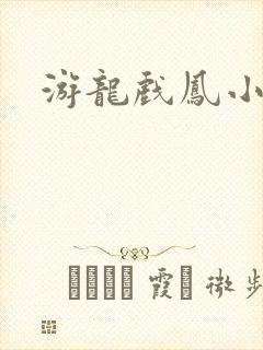 游龙戏凤小说