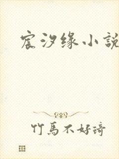 宸汐缘小说