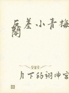 反差小青梅笔趣阁
