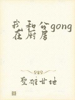 我和公gong在厨房封面