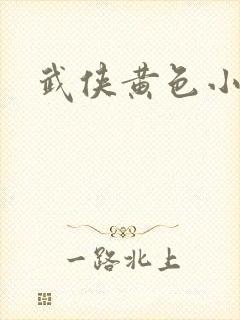 武侠黄色小说封面