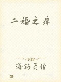 二婚之痒封面