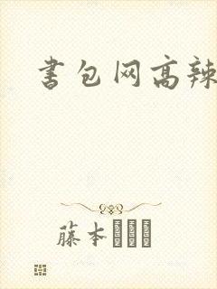 书包网高辣文封面