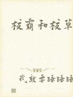校霸和校草封面