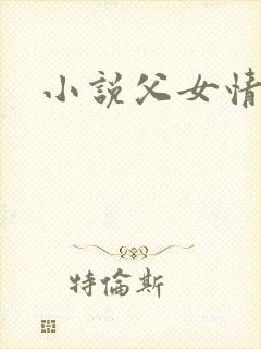 小说父女情深封面