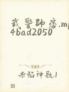 武警帅痞.mp4bad2050