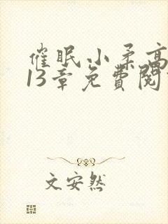 催眠小柔高达第13章免费阅读