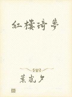 红楼琦梦