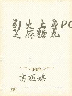 引火上身POP芝麻糖丸封面